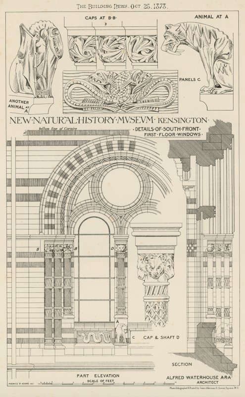 Neues Naturhistorisches Museum, South Kensington, London von English School