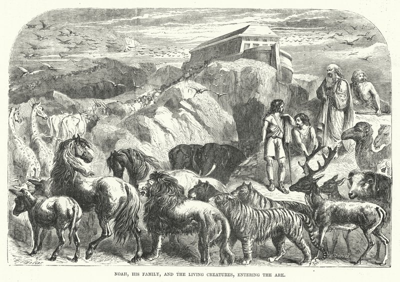 Noah, seine Familie und die Lebewesen betreten die Arche (Gravur) von English School