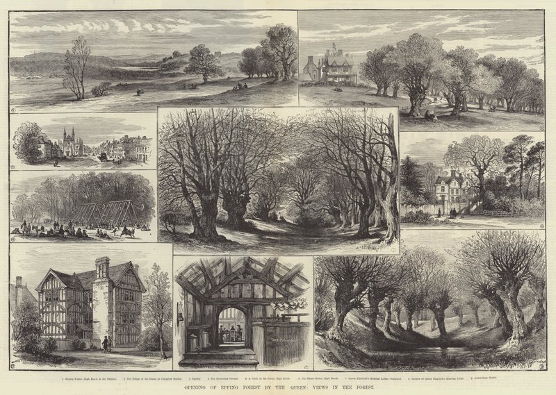 Eröffnung des Epping Forest durch die Königin, Ansichten im Wald (Gravur) von English School