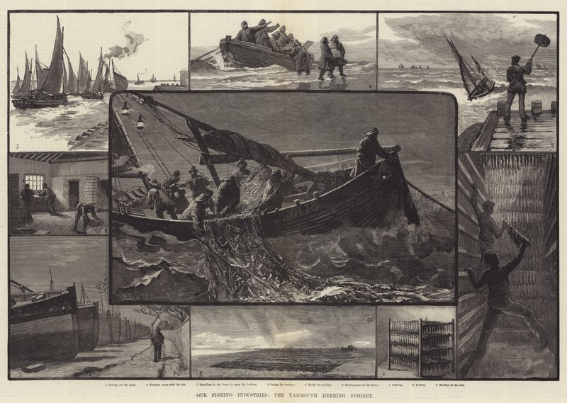 Unsere Fischereiindustrie, die Yarmouth-Heringfischerei (Gravur) von English School