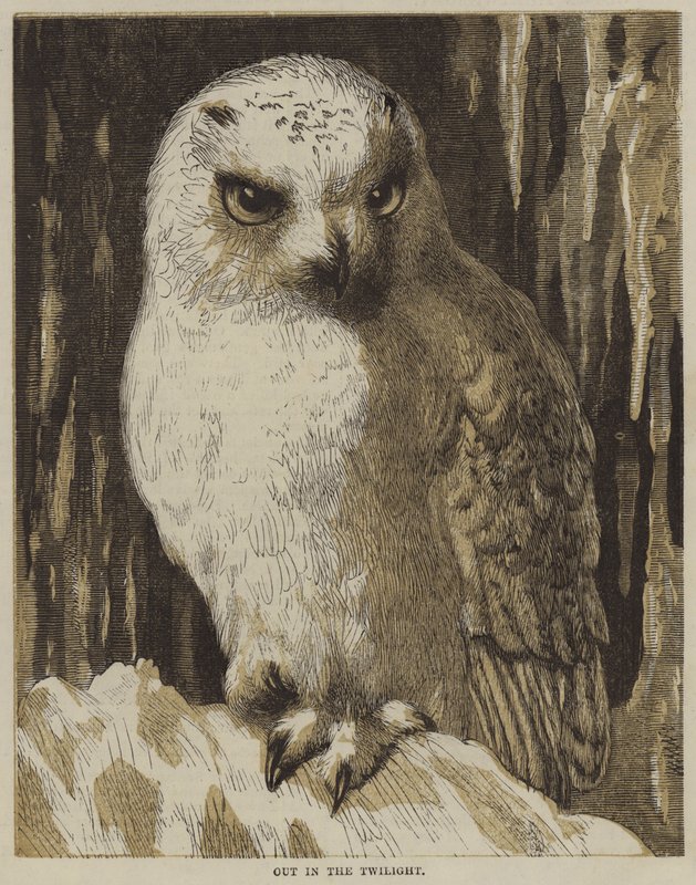 Draußen in der Dämmerung (Gravur) von English School