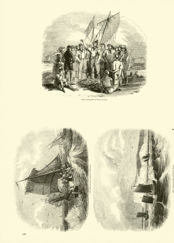 Seite aus dem Bildmuseum der belebten Natur von English School