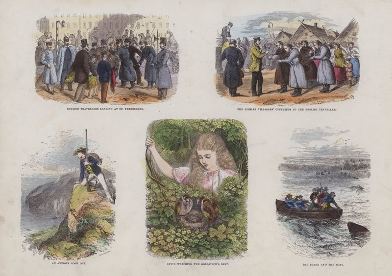 Seite aus dem Attraktiven Bilderbuch (farbige Gravur) von English School