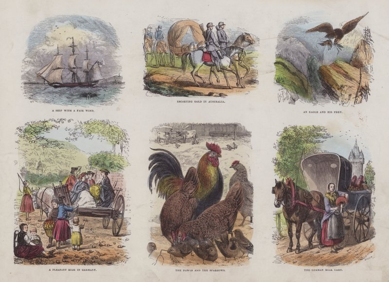 Seite aus dem Attraktiven Bilderbuch (farbige Gravur) von English School