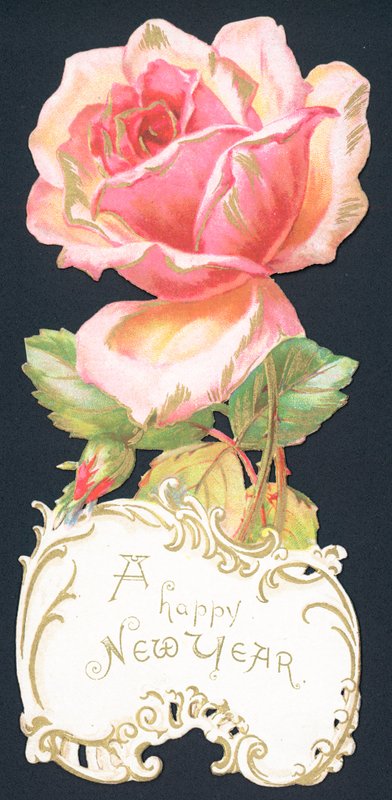 Rosa Rose, Neujahrskarte von English School