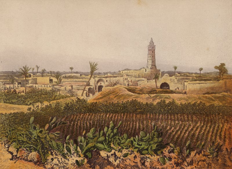 In der Bibel erwähnte Orte: Gaza, die Altstadt von English School