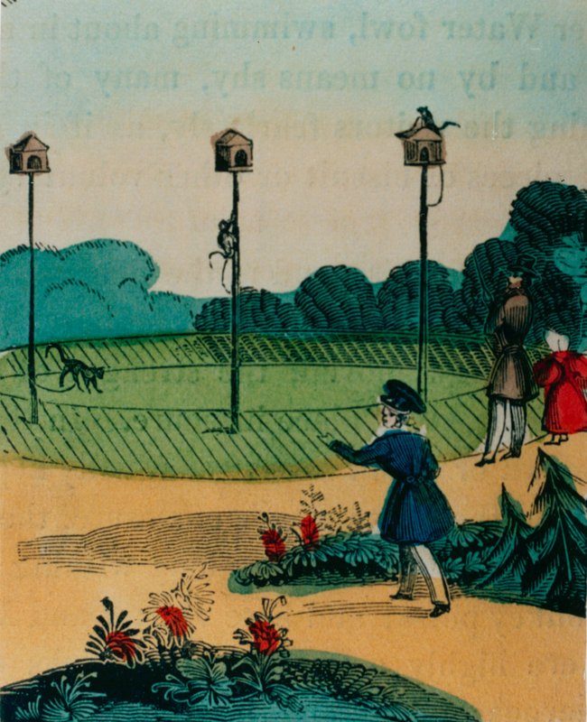 Stangen, an die Affen im Sommer wie Spielzeugaffen gekettet wurden. 1840er Jahre von English School