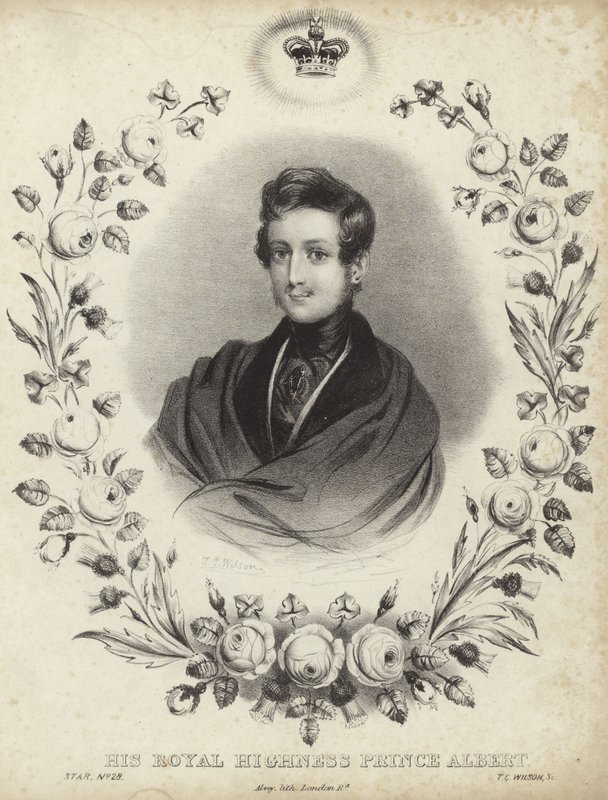 Porträt von Albert, dem Prinzgemahl von English School