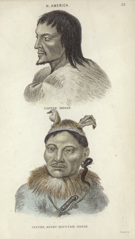 Porträts eines Kupfer-Indianers und eines Rocky-Mountain-Indianers von English School