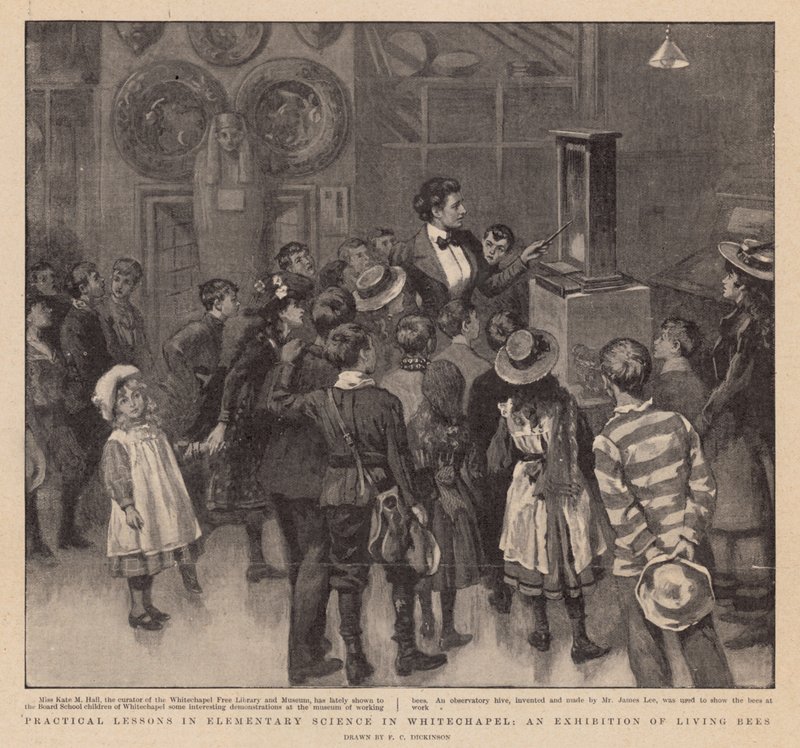 Praktische Lektionen in elementarer Wissenschaft in Whitechapel; Eine Ausstellung lebender Bienen von English School