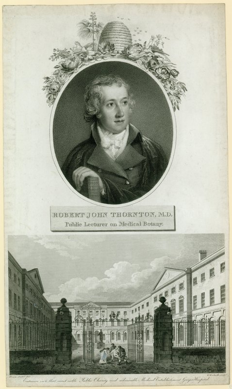 Professor John Thornton, öffentlicher Dozent für medizinische Botanik von English School
