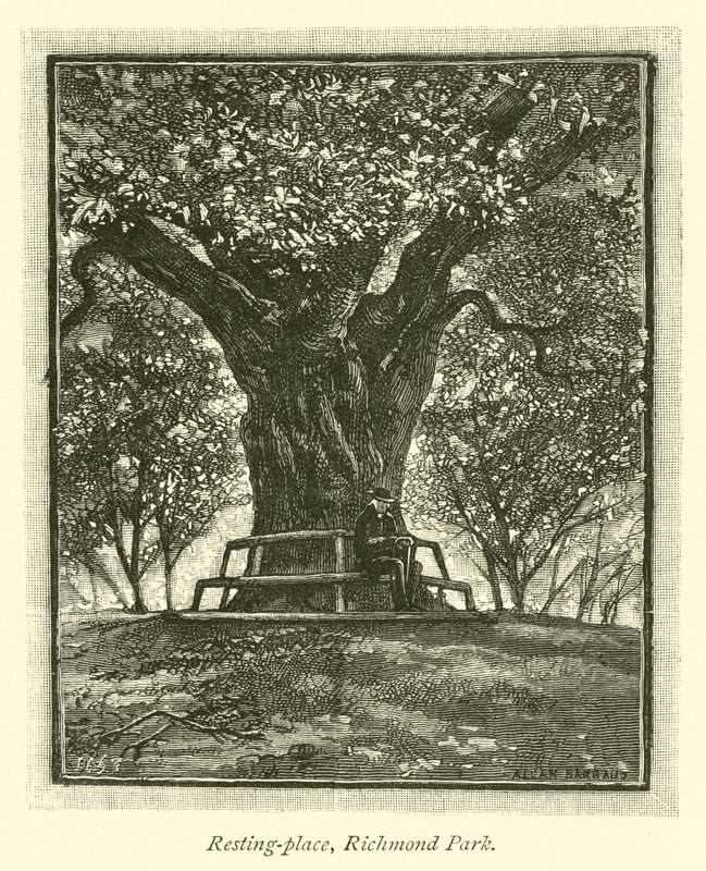 Rastplatz, Richmond Park von English School