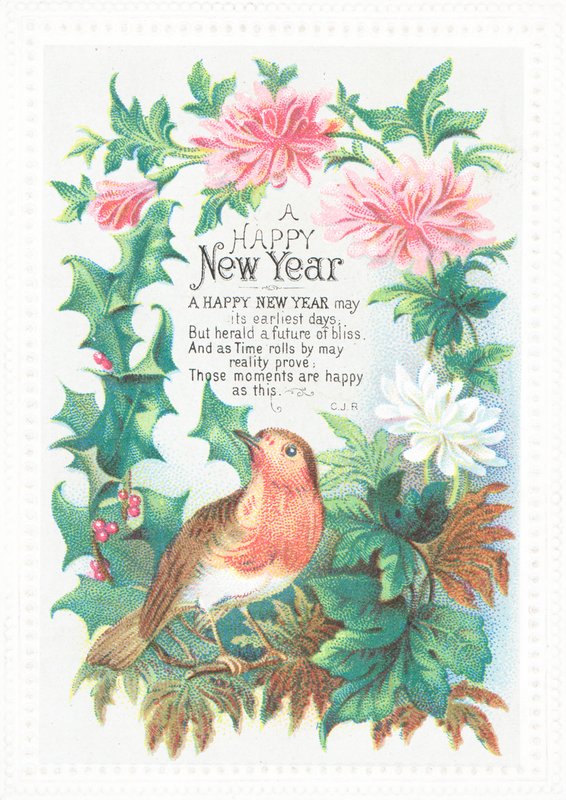 Rotkehlchen und Blumen, Neujahrskarte von English School