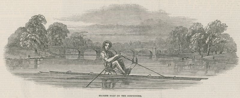 Siam-Boot auf der Serpentine, Hyde Park, London von English School