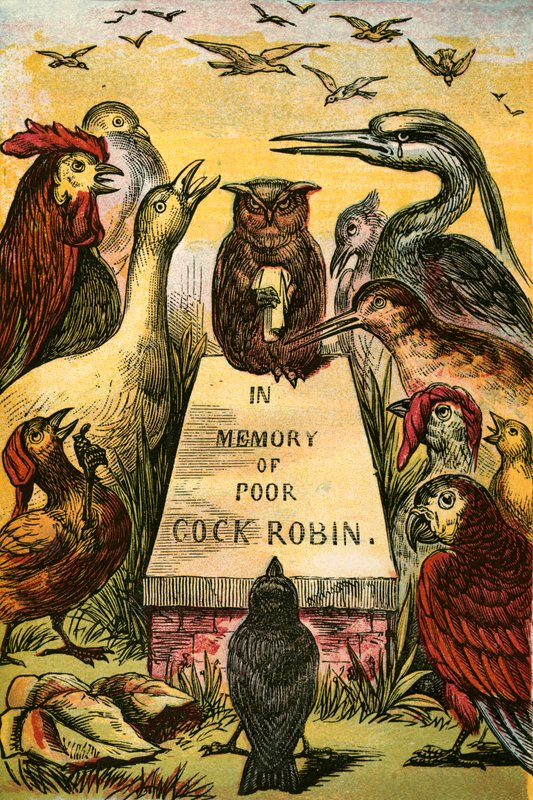 Seufzen und Schluchzen für den armen Cock Robin von English School