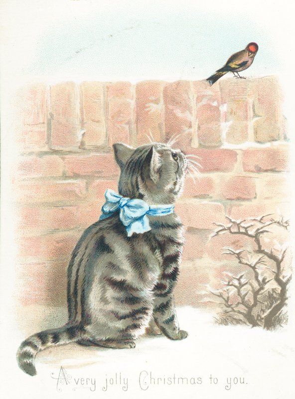 Getigerte Katze beobachtet Fink auf Mauer, Weihnachtskarte von English School