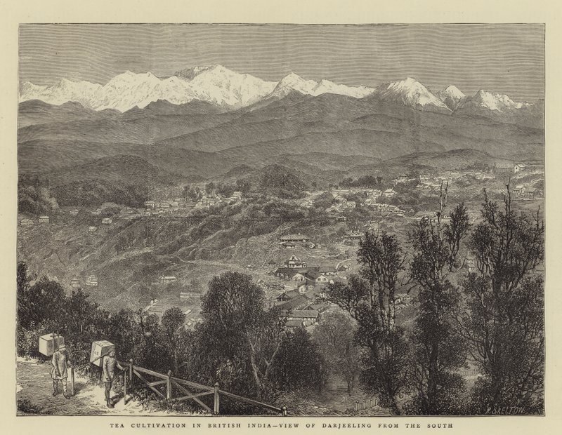 Teekultivierung in Britisch-Indien, Blick auf Darjeeling von Süden von English School