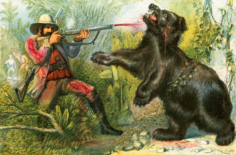 Der Bär - 