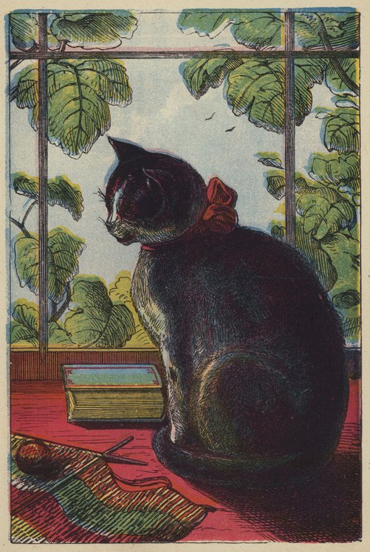 Die Katze von English School