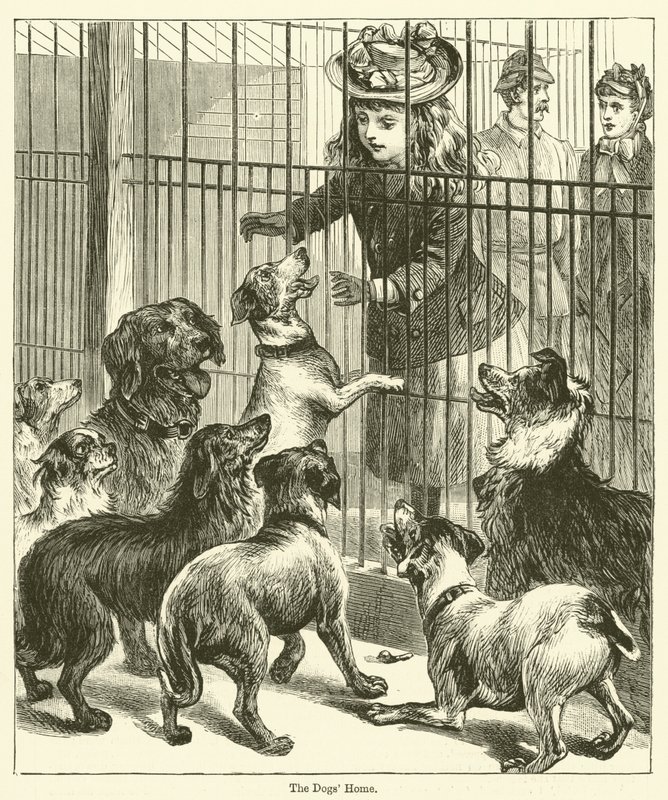 Das Hundeheim (Gravur) von English School