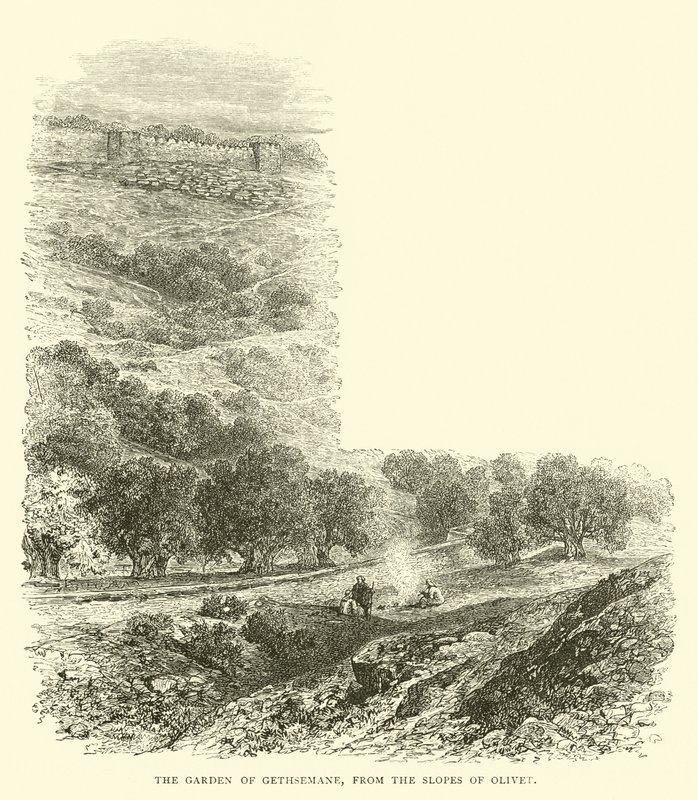 Der Garten Gethsemane, von den Hängen des Ölbergs aus von English School