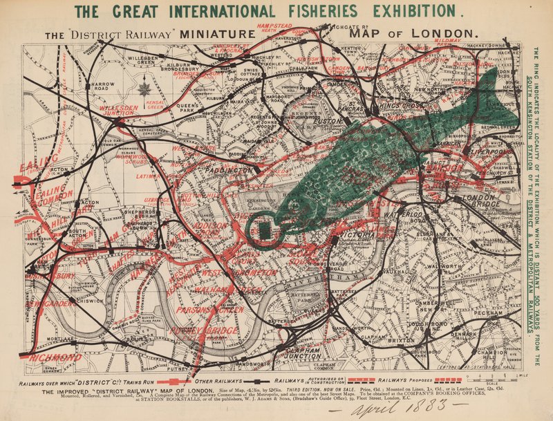 Die große internationale Fischereiausstellung von English School