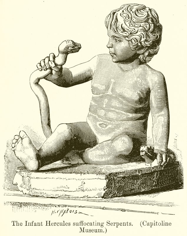 Der infantile Herkules, der Schlangen erstickt (Kapitolmuseum) von English School