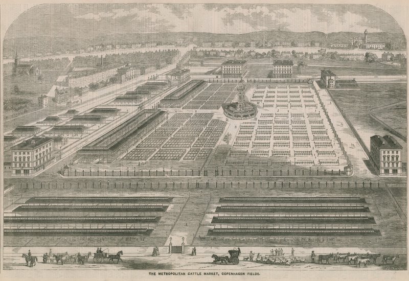 Der Metropolitan Viehmarkt, Copenhagen Fields, London von English School