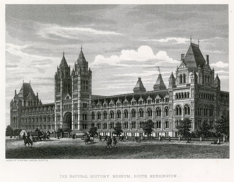 Das Naturhistorische Museum, 1881 von English School