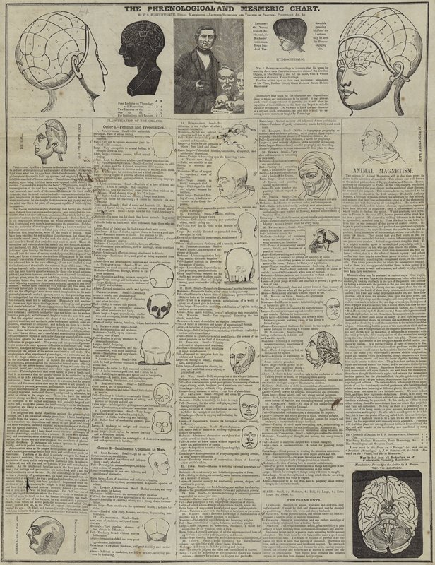 Die phrenologische und mesmerische Karte von English School
