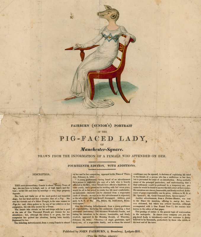 Die Schweinegesichtige Dame von Manchester Square, London von English School
