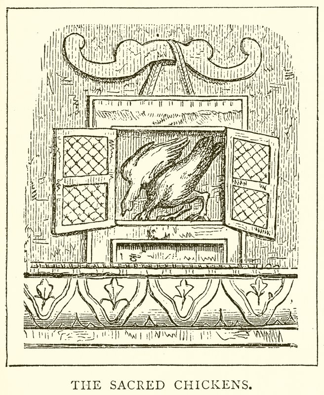 Die heiligen Hühner von English School