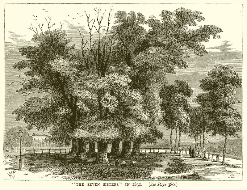Die Sieben Schwestern im Jahr 1830 von English School