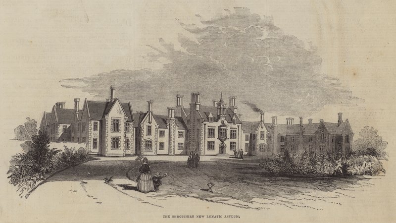 Das neue Irrenhaus von Shropshire von English School