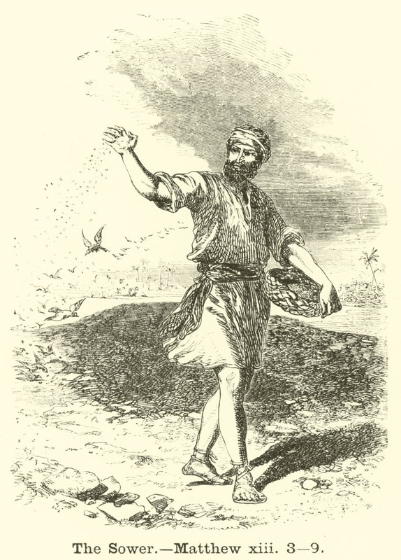 Der Sämann, Matthäus, xiii, 3, 9 von English School