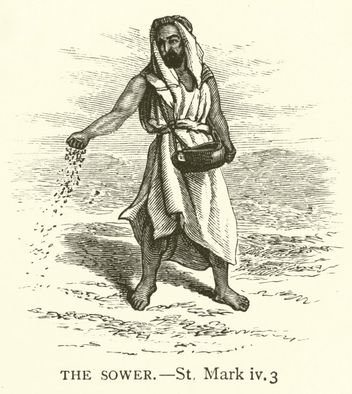 Der Sämann (St Markus, iv, 3) von English School