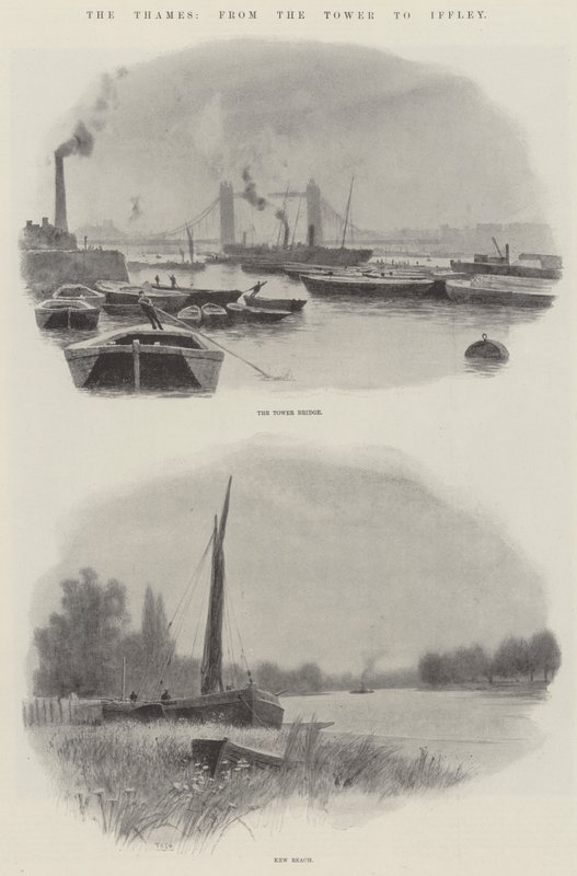 Die Themse, vom Tower bis Iffley (Lithografie) von English School