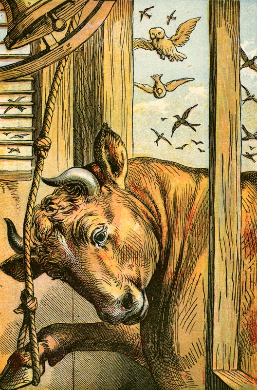Der Stier, der die Glocke läutet von English School