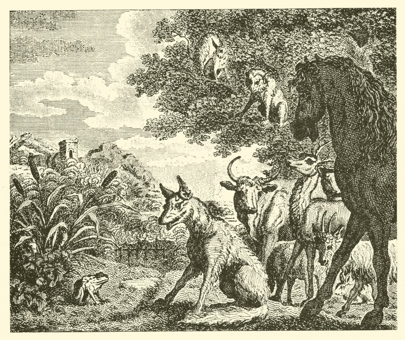Der Frosch und der Fuchs (Gravur) von English School