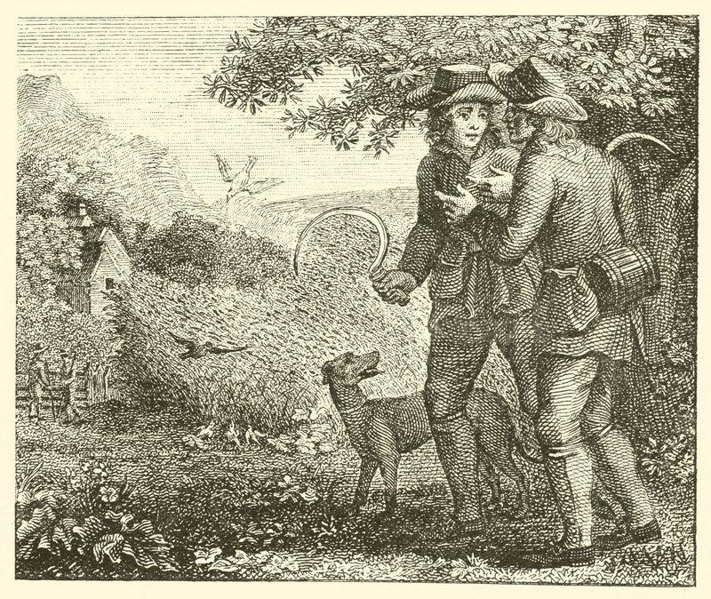 Die Lerche und ihre Jungen von English School