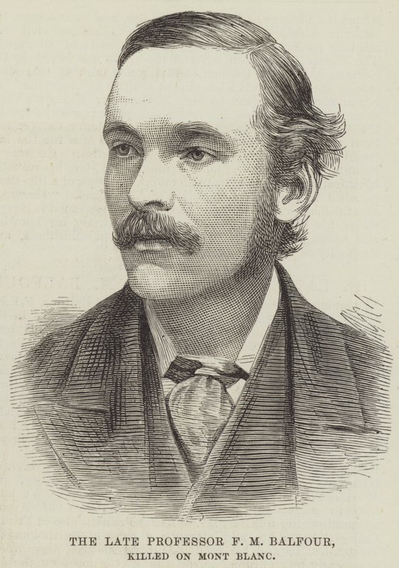 Der verstorbene Professor F. M. Balfour, getötet am Mont Blanc von English School