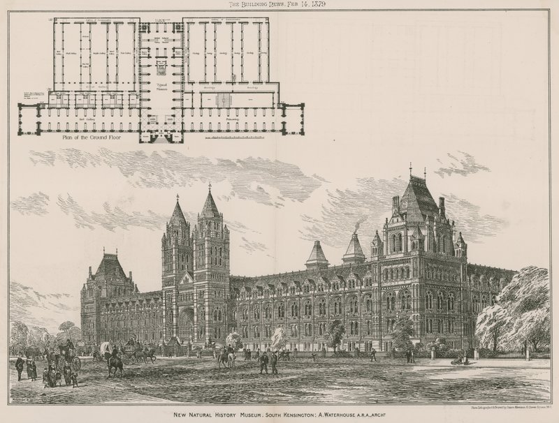 Das neue Natural History Museum, South Kensington, London von English School
