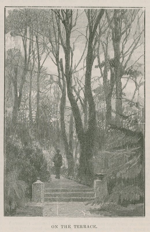 Der neue öffentliche Park in Highgate: auf der Terrasse von English School