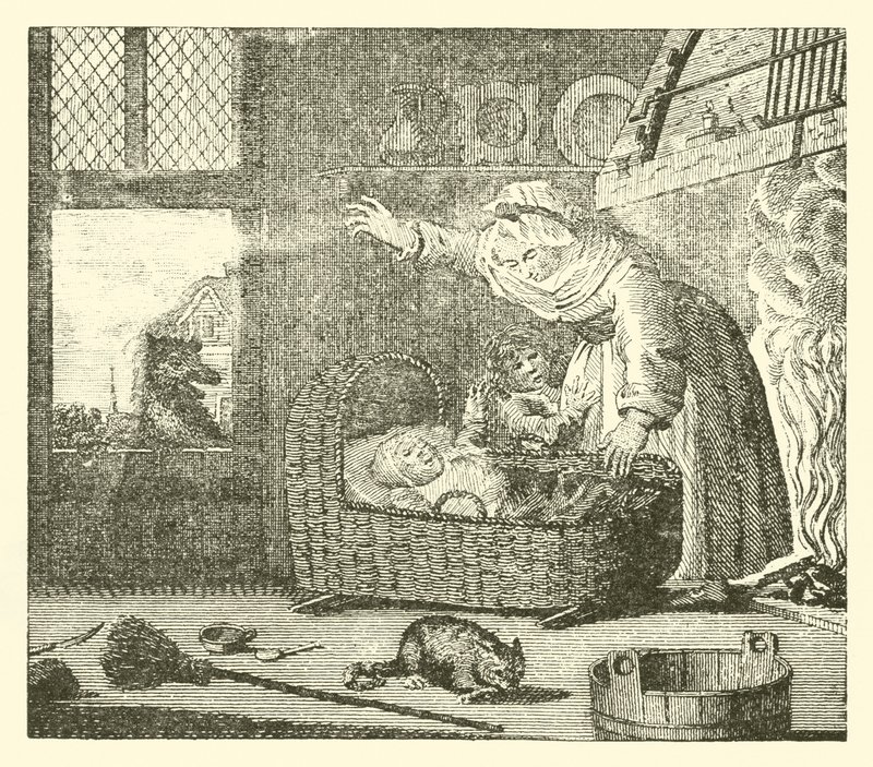 Die Krankenschwester und der Wolf von English School