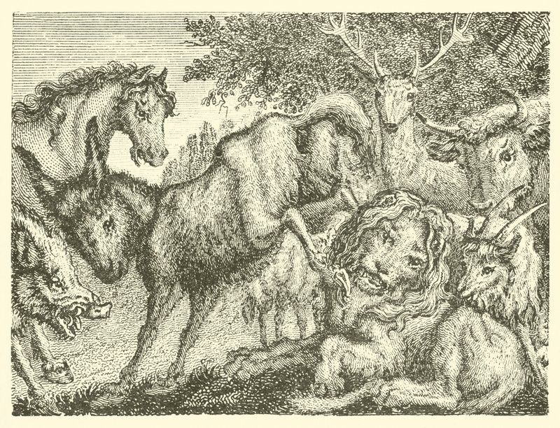 Der alte Löwe (Gravur) von English School