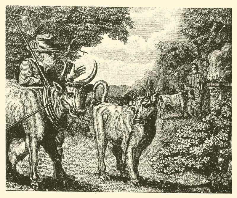 Das lüsterne Kalb (Gravur) von English School