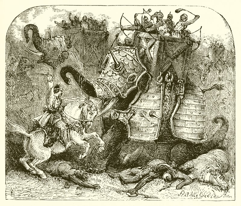 Der Kriegselefant der Antike von English School