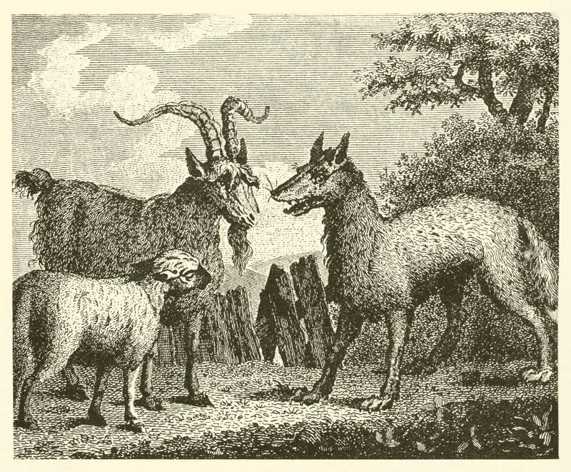 Der Wolf, das Lamm und die Ziege von English School