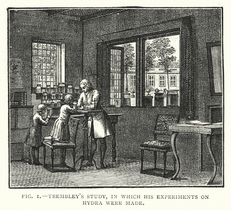 Trembleys Studie, in der seine Experimente an Hydra durchgeführt wurden (Gravur) von English School