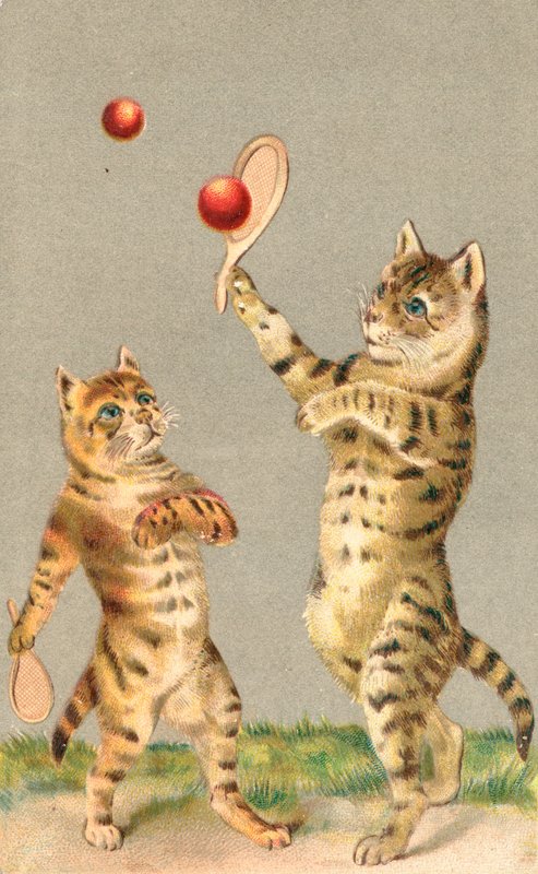 Zwei Katzen spielen mit Schlägern und Ball von English School